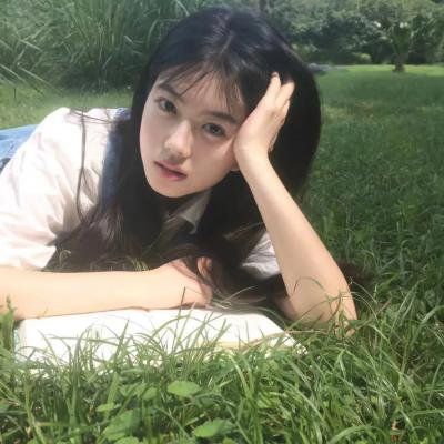 西夏死书